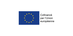 Logo FSE+